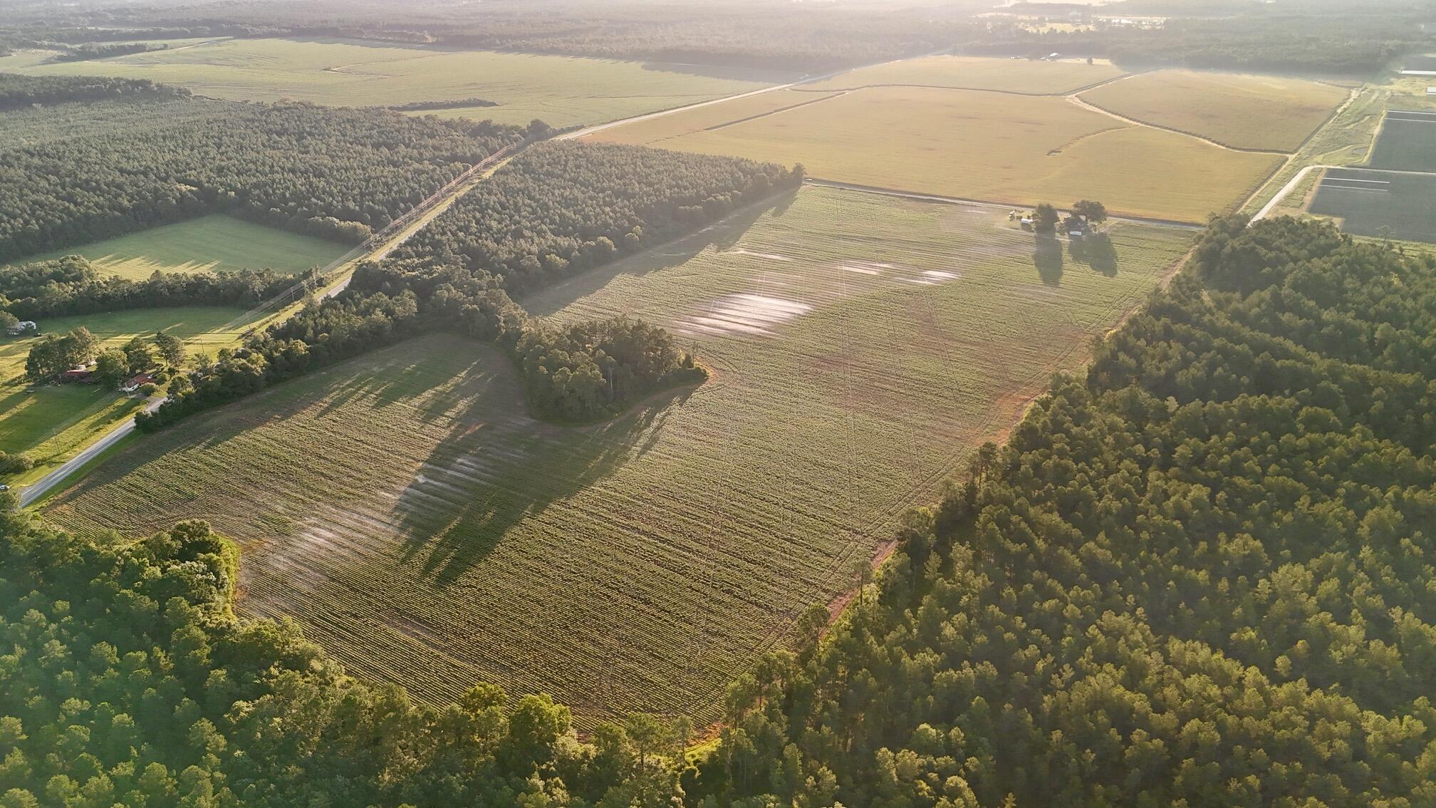 N/A - Farm