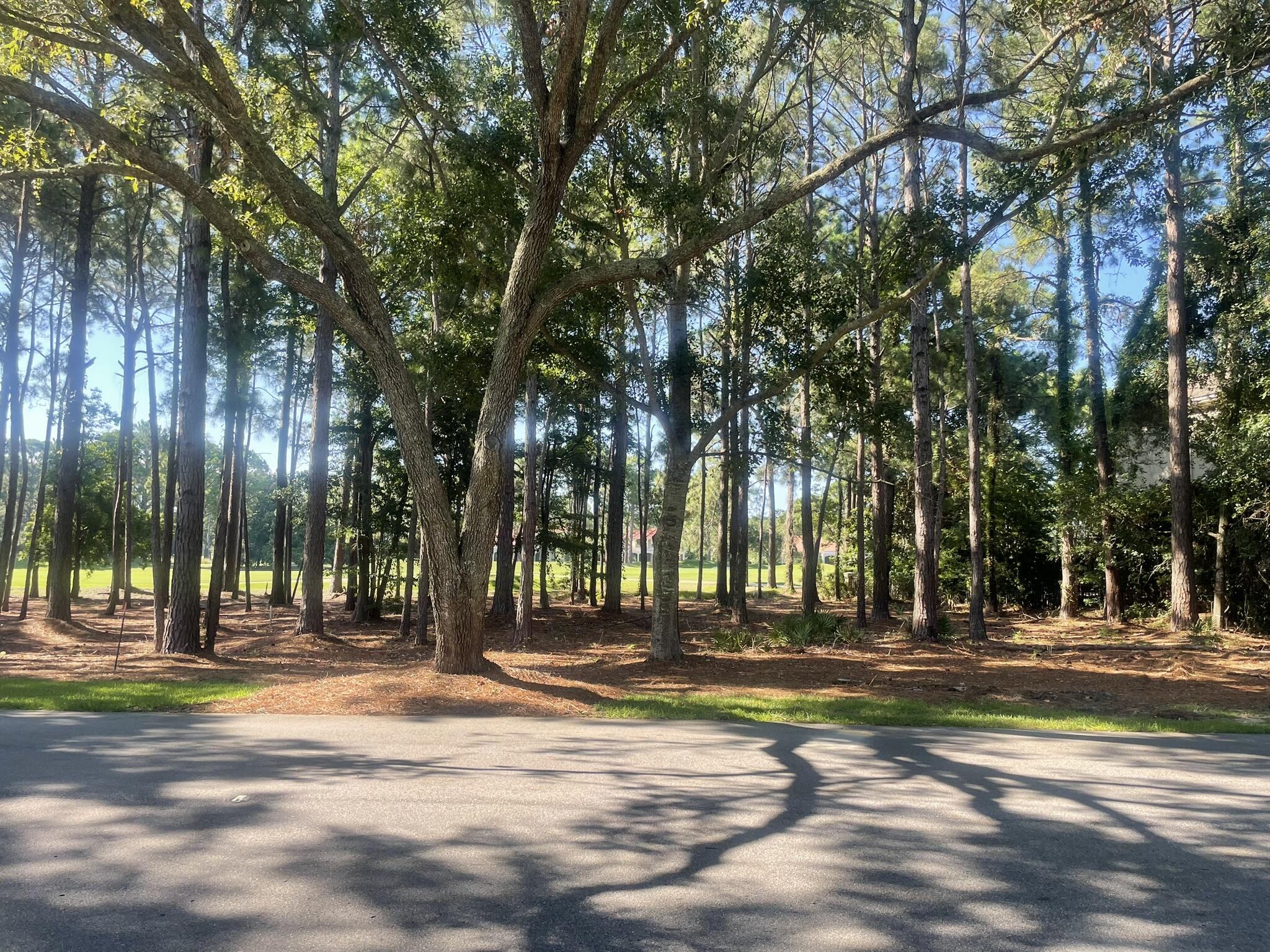 Welcome to your dream home site in the prestigious gated community of Burnt Pine within Sandestin Golf and Beach Resort! This newly established vacant lot spans 0.32 acres and offers breathtaking views of the 18th hole of the Burnt Pine Golf Course. Uniquely, it is one of the few lots that also has lake and golf course views from the front door. Situated on Burnt Pine Lane, with easy access to the entrance of the golf course, this lot is perfect for golf enthusiasts and nature lovers alike. Enjoy the security and privacy of Burnt Pine an exclusive enclave known for its upscale homes and lush surroundings. As part of the Sandestin Golf and Beach Resort, residents have access to world-class amenities, including championship golf courses, tennis courts, a marina, fine dining, shopping, and pristine beaches. With water, sewer, and electricity available at the lot, this site is ready for your custom home build. Burnt Pine HOA ensures the community remains beautifully maintained and secure. Build your legacy in Burnt Pine and experience the unparalleled lifestyle that Sandestin Golf and Beach Resort has to offer! As an introduction to the Sandestin lifestyle, we invite our new owners to explore amenities that make Sandestin special. The listing brokerage and seller(s) are presenting the buyer(s) of this property with (2) 90-minute rounds of Tennis court time, a golf foursome at one of our three championship courses, and a round of golf for up to four (4) players at the unrivaled Burnt Pine Golf Club.
Sandestin Golf and Beach Resort features more than seven miles of beaches and pristine bay front, four championship golf courses, 15 world-class tennis courts, a 226-slip marina, a fitness center, spa and celebrity chef dining. Shop, dine and play at the charming pedestrian village, The Village of Baytowne Wharf and more. Inside the gates of the resort, residents enjoy a balanced lifestyle of high-class living, spanning the 2,400 acres from the beach to the bay. Everything within the gates of the resort is accessible by golf cart or bicycle. The entire resort is interconnected by miles of pedestrian, bike and golf cart paths that weave through groves of live oaks, meandering past natural lagoons, fountains, man-made lakes, and meticulously landscaped fairways.