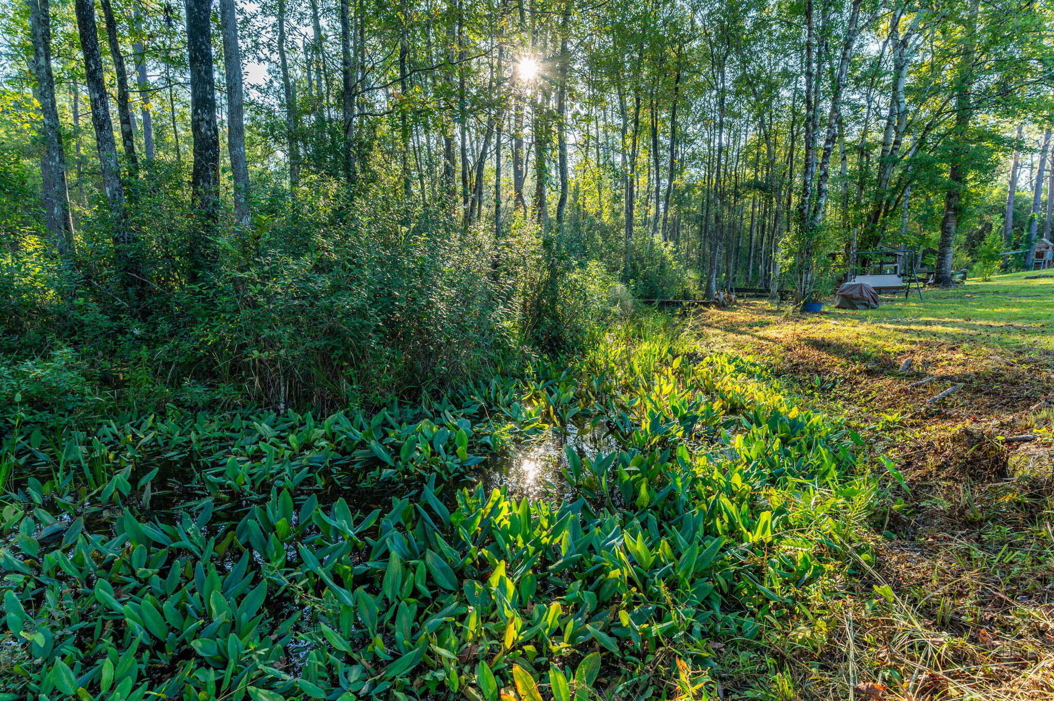 County / Eglin Reservation - Residential