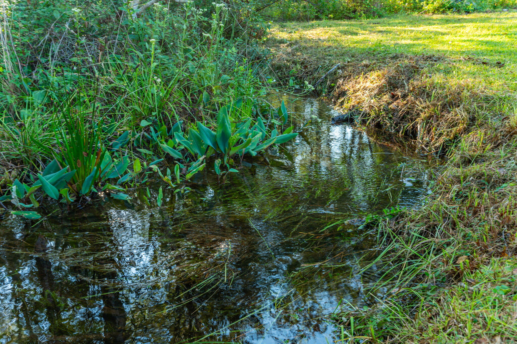 County / Eglin Reservation - Residential