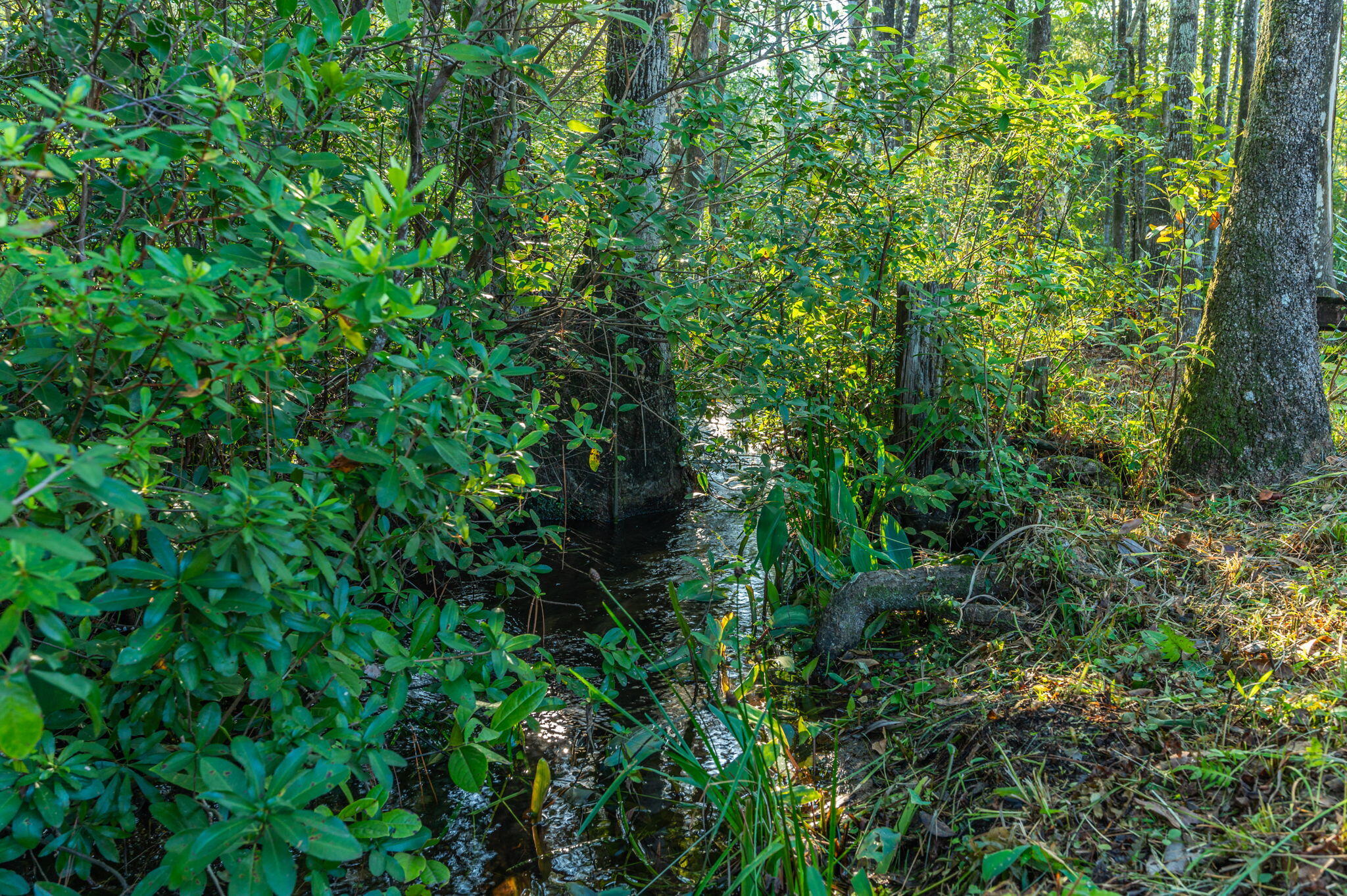 County / Eglin Reservation - Residential