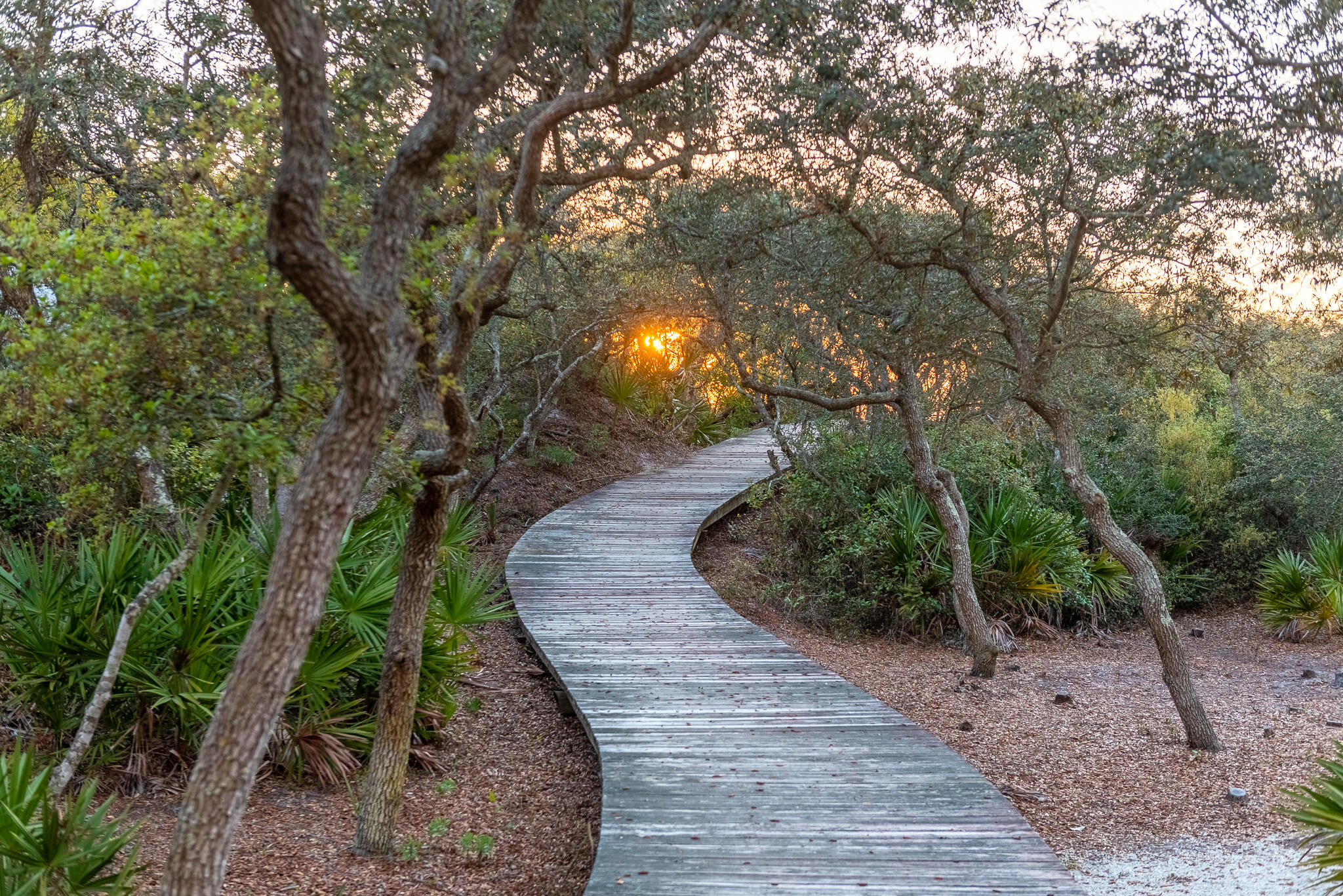 WATERSOUND BEACH, THE CROSSINGS - Residential