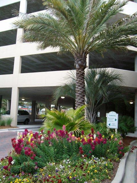 WATERSCAPE - Residential