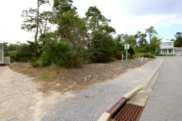 LAKESIDE AT BLUE MOUNTAIN BEACH - Land