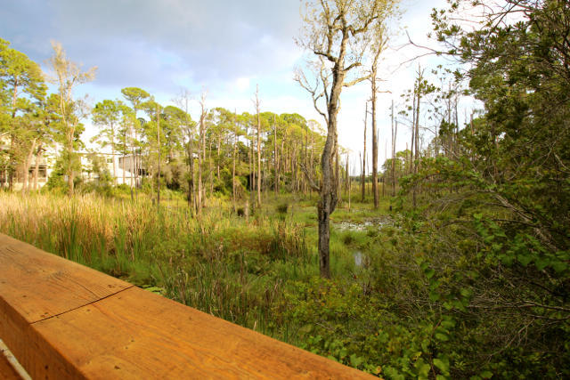LAKESIDE AT BLUE MOUNTAIN BEACH - Land