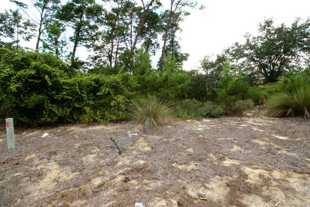 LAKESIDE AT BLUE MOUNTAIN BEACH - Land