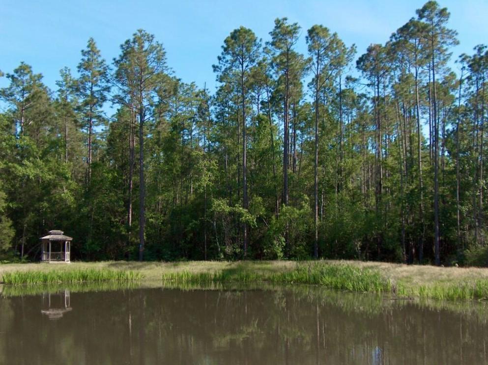 Juniper Creek Estates Phase II - Residential