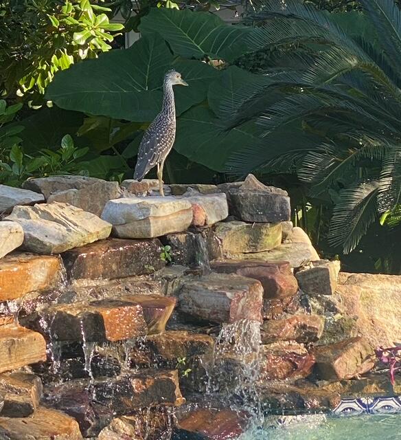 RIVIERA BEACH - Residential