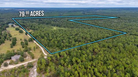 79 Acres Bucking Up Road Laurel Hill FL 32567