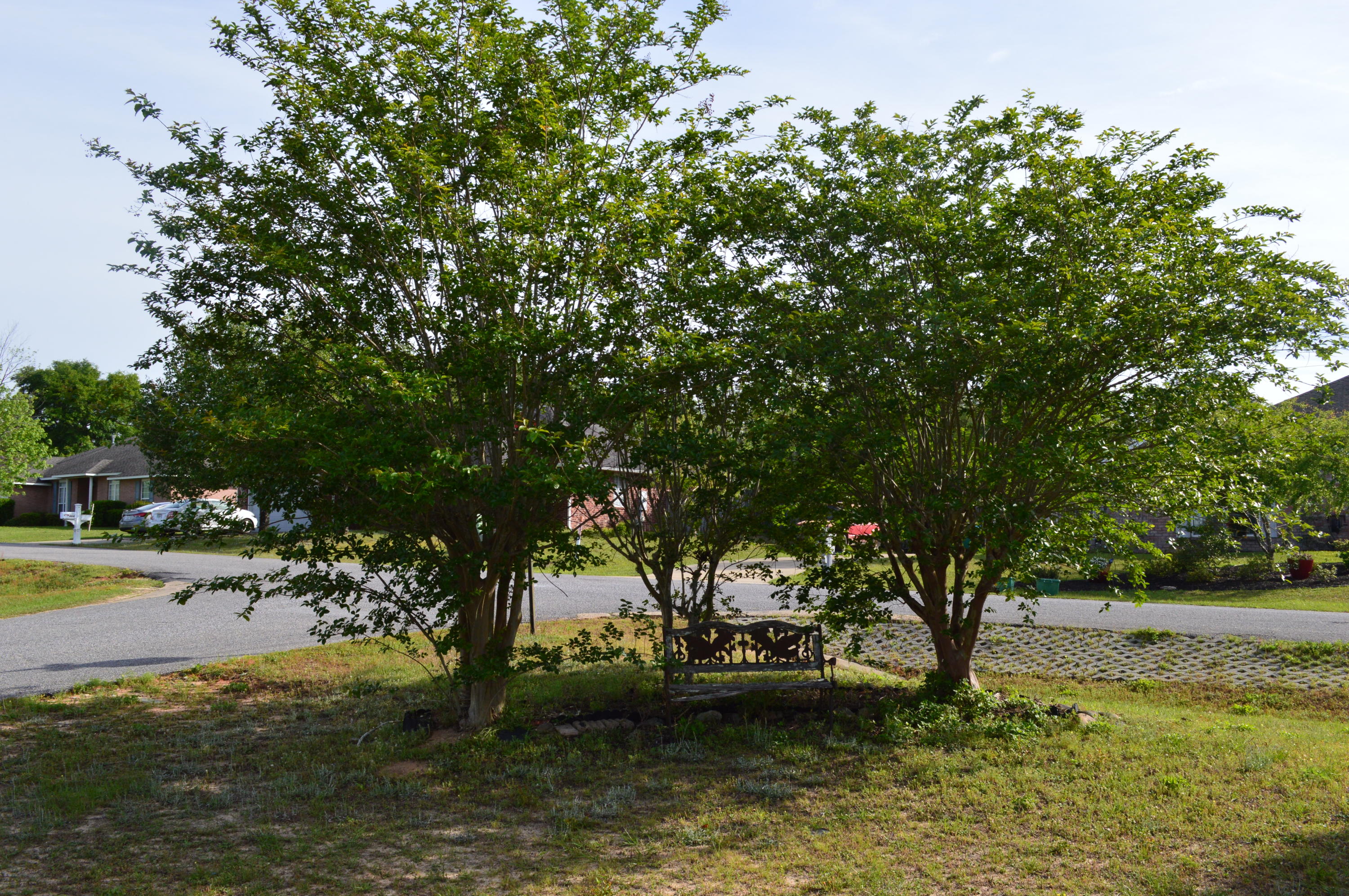 ANTIOCH ESTATES S/D 3 - Residential