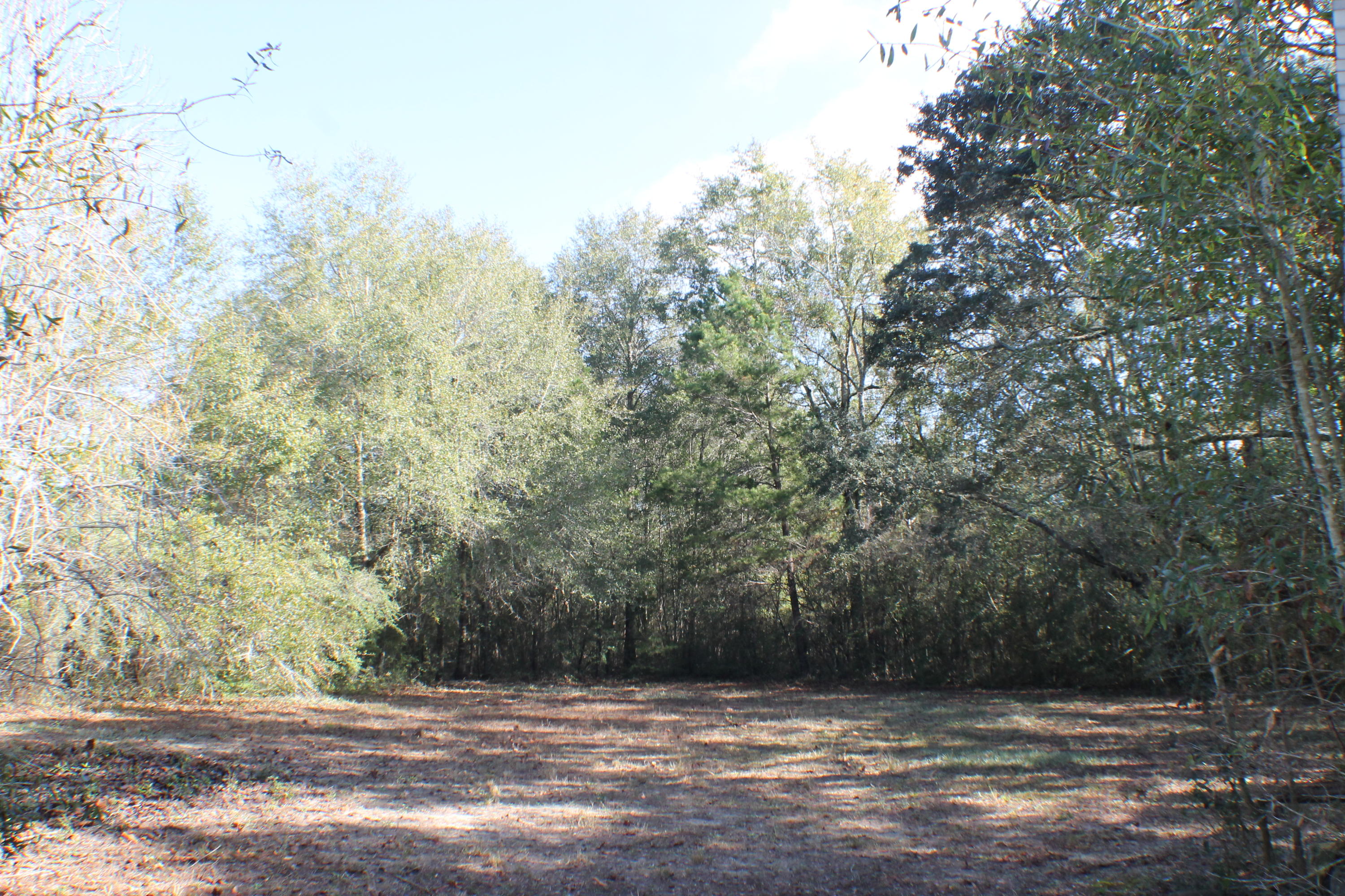 EAST CHESTNUT ADDN - Residential