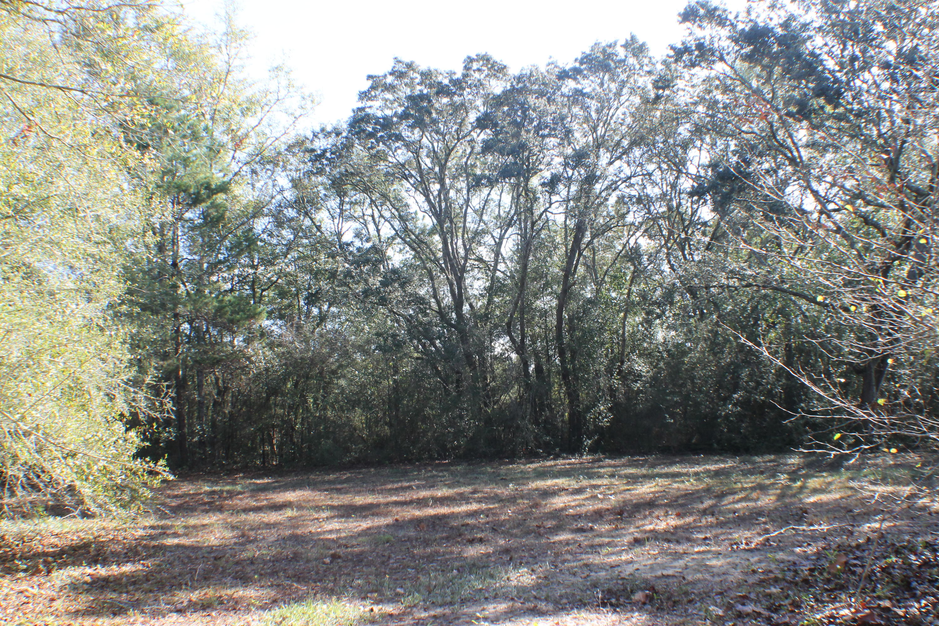 EAST CHESTNUT ADDN - Residential