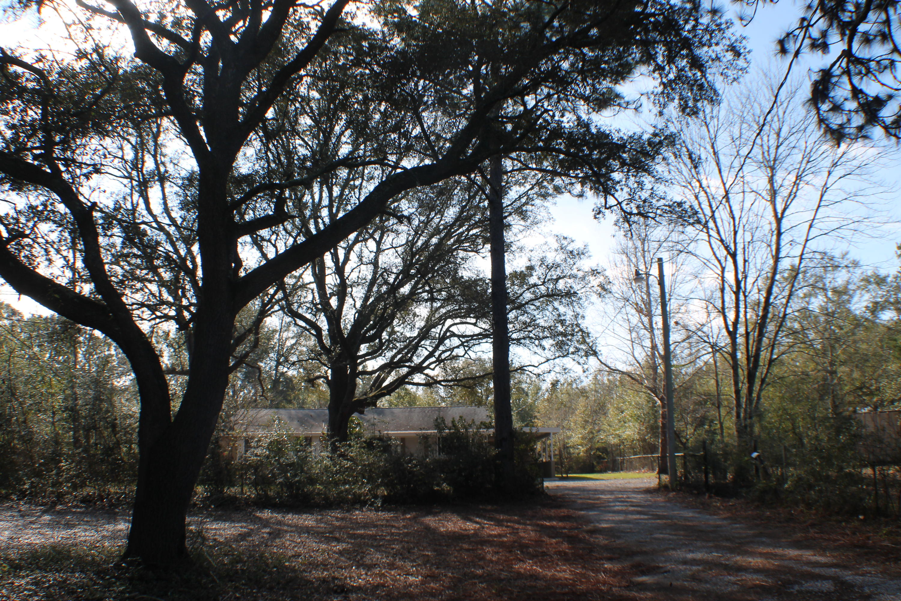 EAST CHESTNUT ADDN - Residential