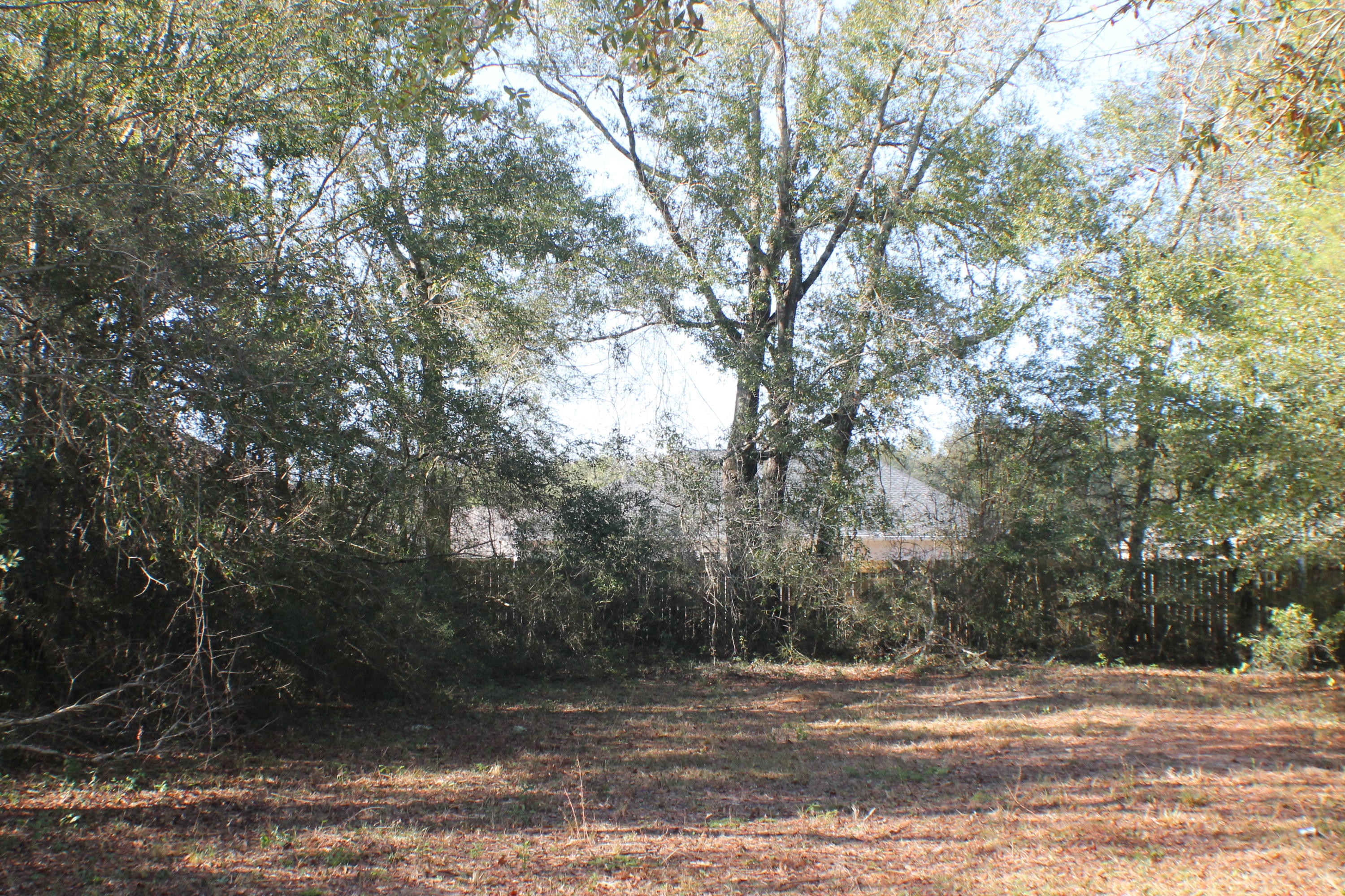 EAST CHESTNUT ADDN - Residential