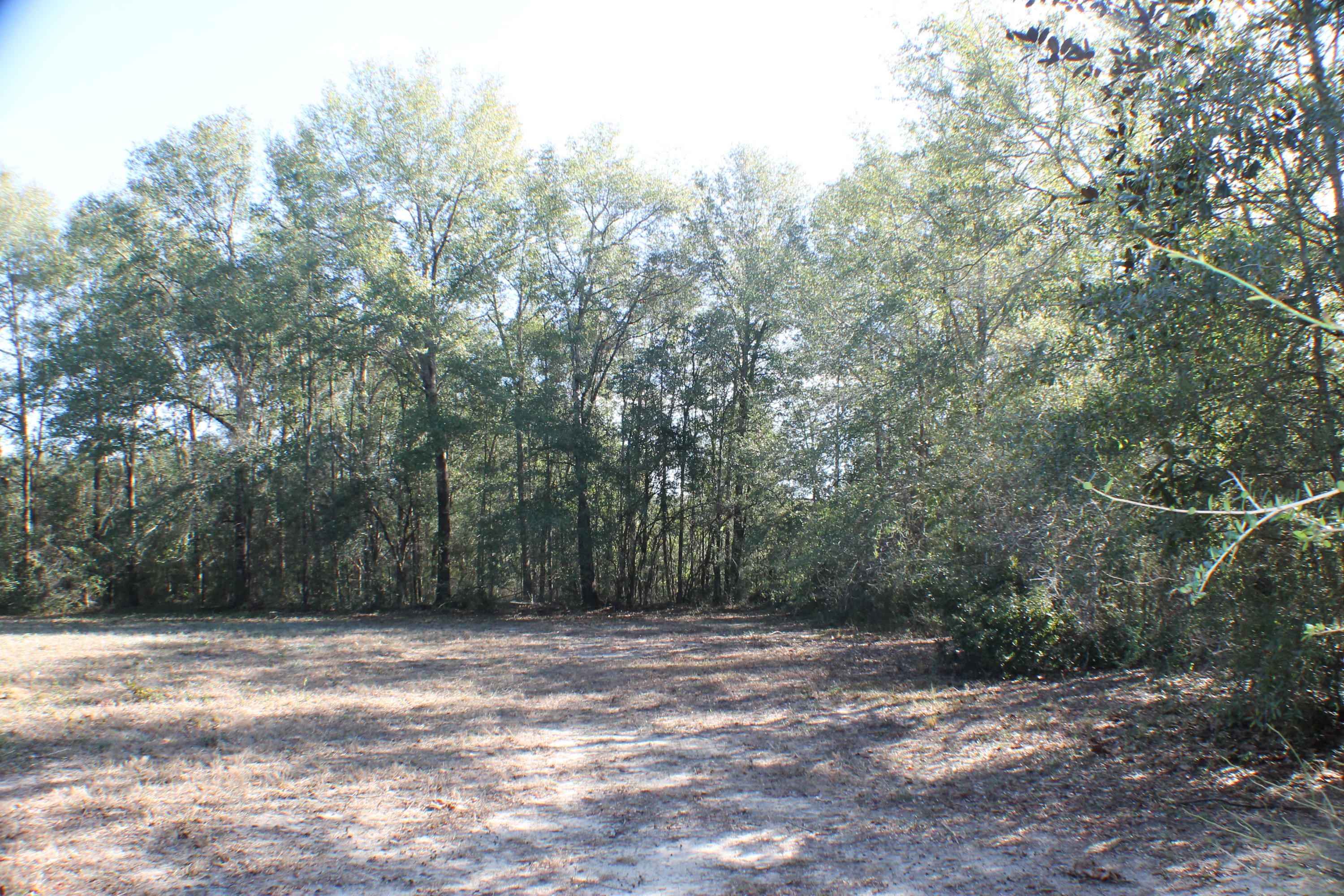 EAST CHESTNUT ADDN - Residential