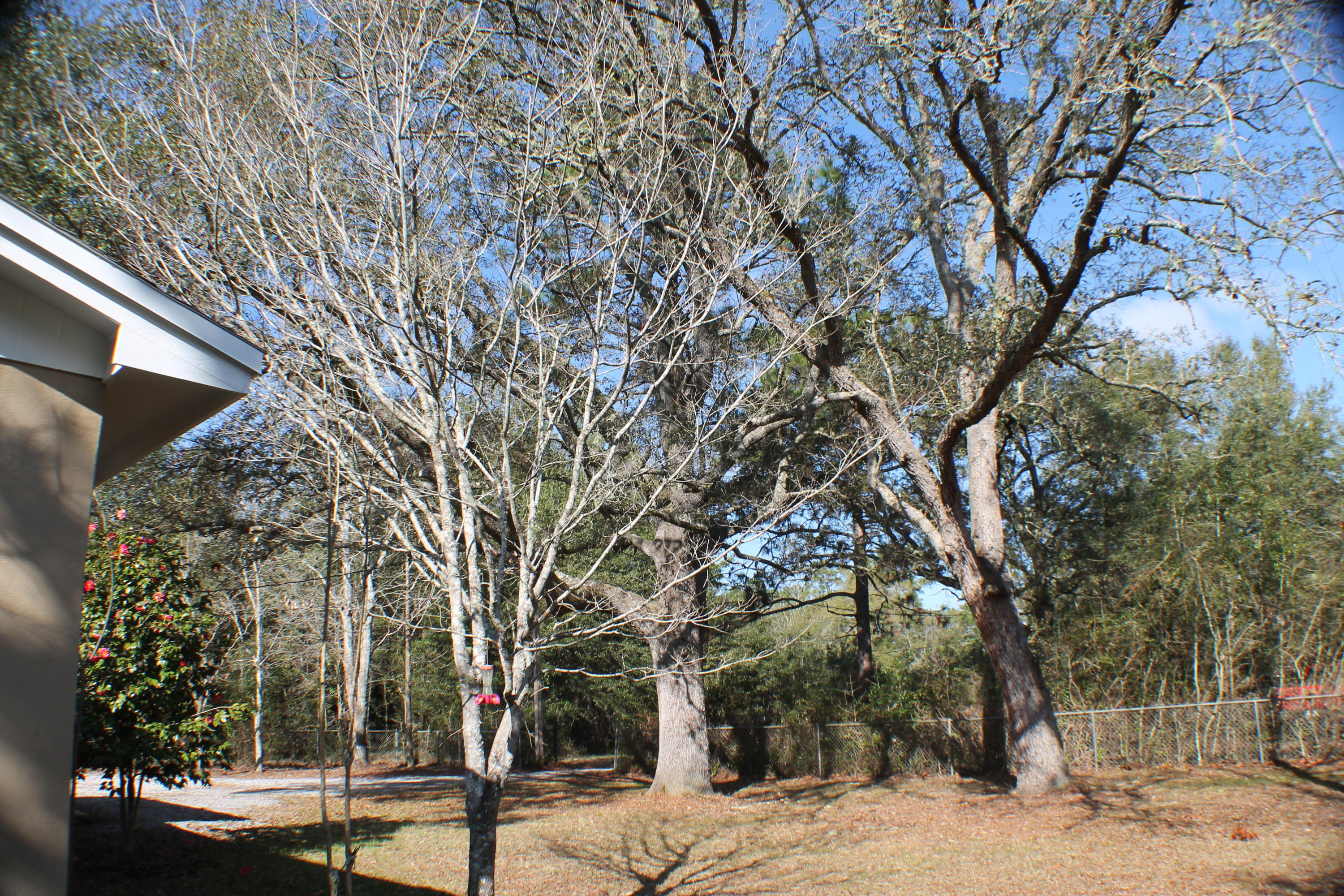 EAST CHESTNUT ADDN - Residential