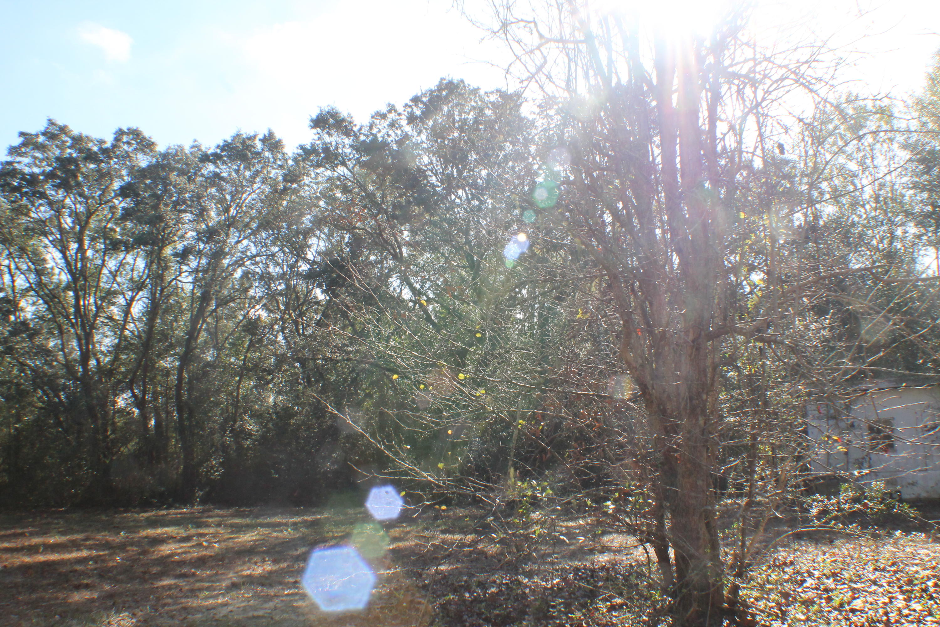 EAST CHESTNUT ADDN - Residential