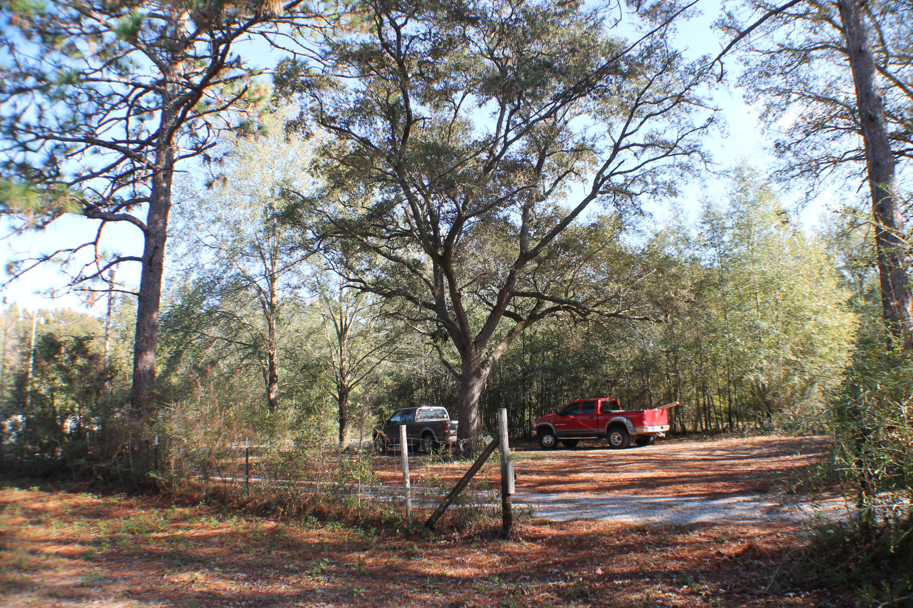 EAST CHESTNUT ADDN - Residential