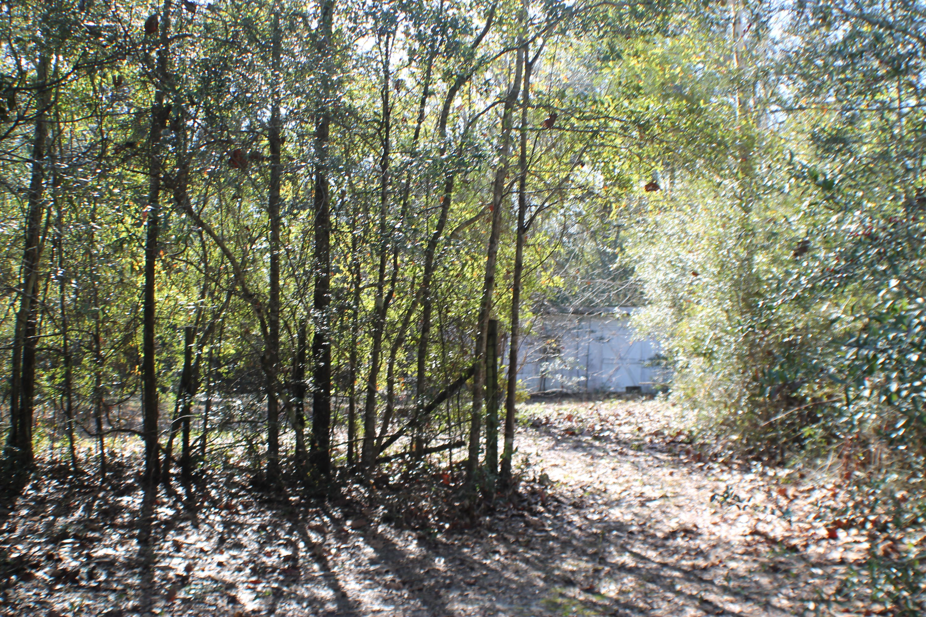 EAST CHESTNUT ADDN - Residential