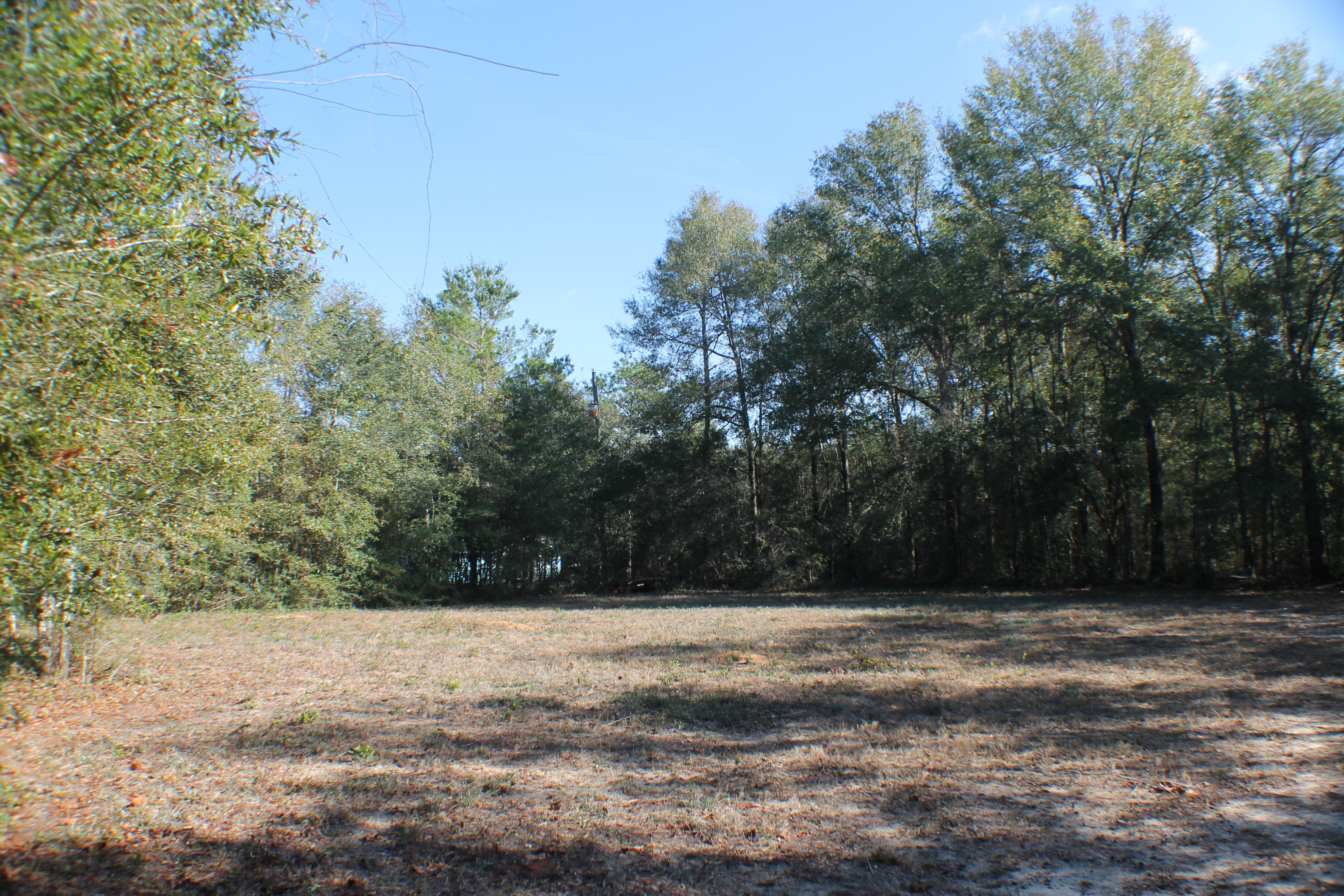 EAST CHESTNUT ADDN - Residential