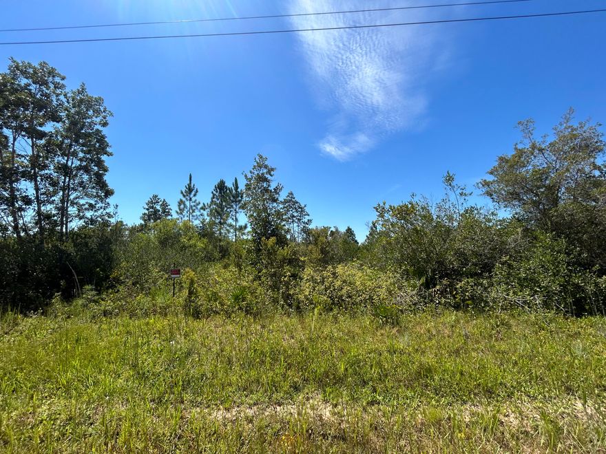 This 20-acre property in Fountain, Florida offers endless potential in a peaceful rural setting while keeping you within miles to the coast and city conveniences. Located just 27 miles from Panama City, 32 miles to Northwest Florida Beaches International Airport (ECP), 37 miles to Panama City Beach, and 34 miles to Mexico Beach, it's perfectly positioned for a private retreat, custom home, farm, or future development. With mature trees, open spaces, and easy highway access, this land provides a rare opportunity to enjoy country living while staying connected to shopping, dining, and the Gulf Coast lifestyle.