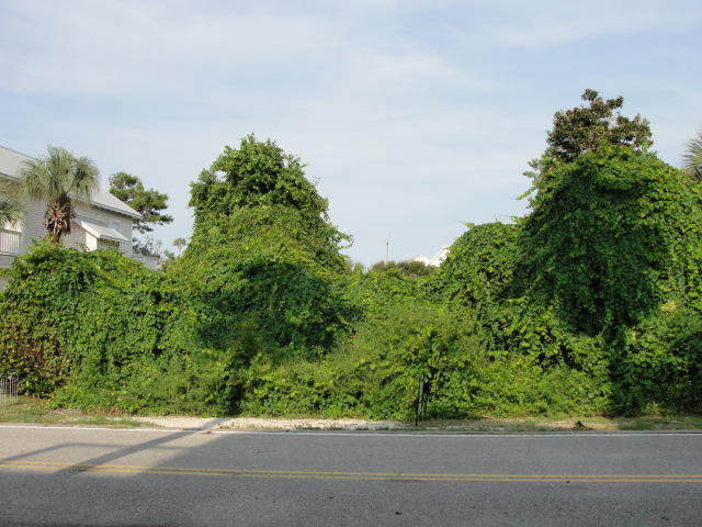 CRYSTAL BEACH - Land