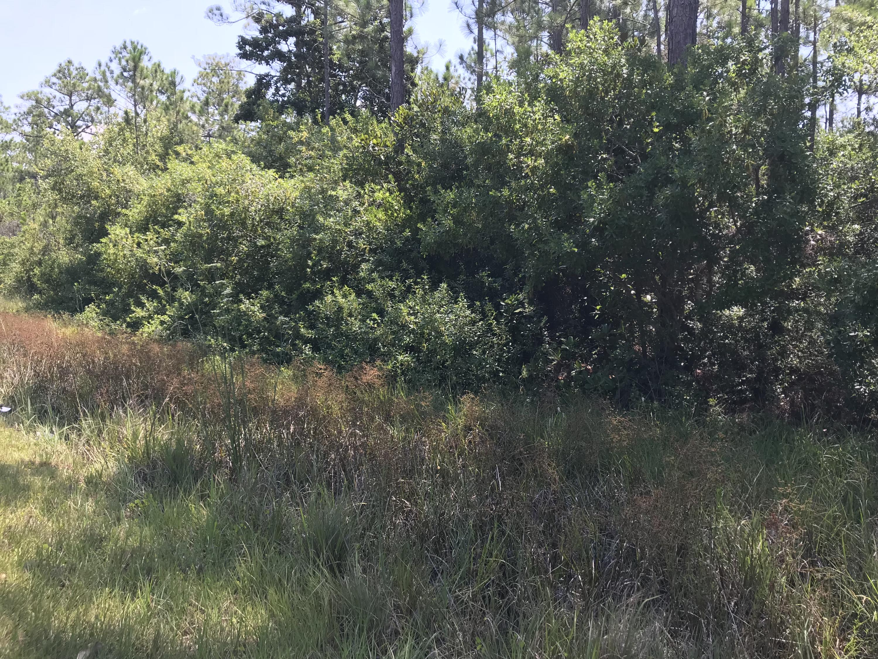 Lagniappe Beach/All - Land