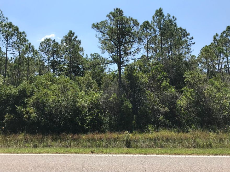 Great Lot to Build on! Builders bring your buyers! This land has .70 acres, 100 x 300 ft parcel accross form East Bay. Great Location for site in Lagnaippe Beach on 399 going North.Lagnaippe Beach was the historical site of Indian camps and not known for flooding.