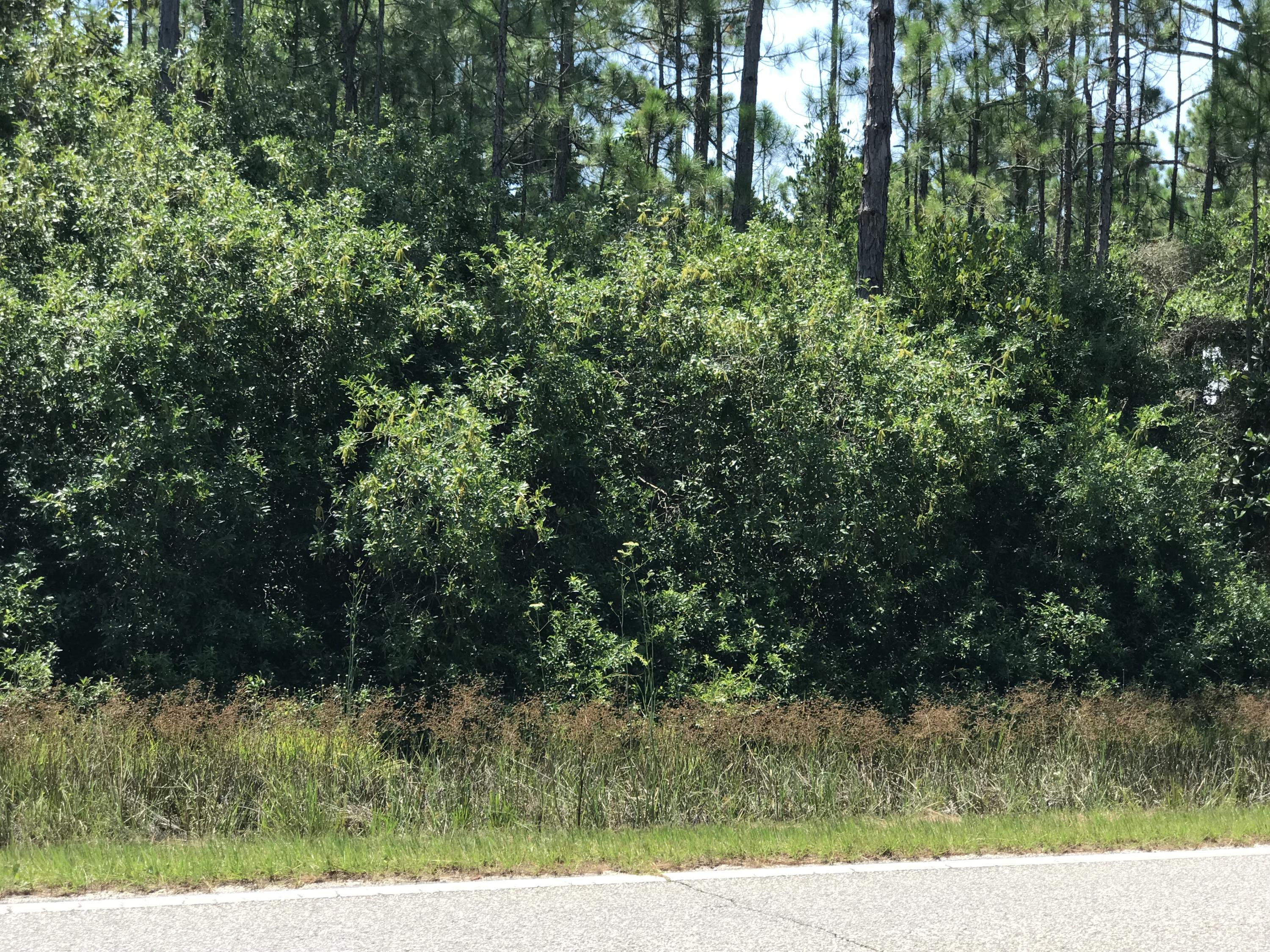 Lagniappe Beach/All - Land