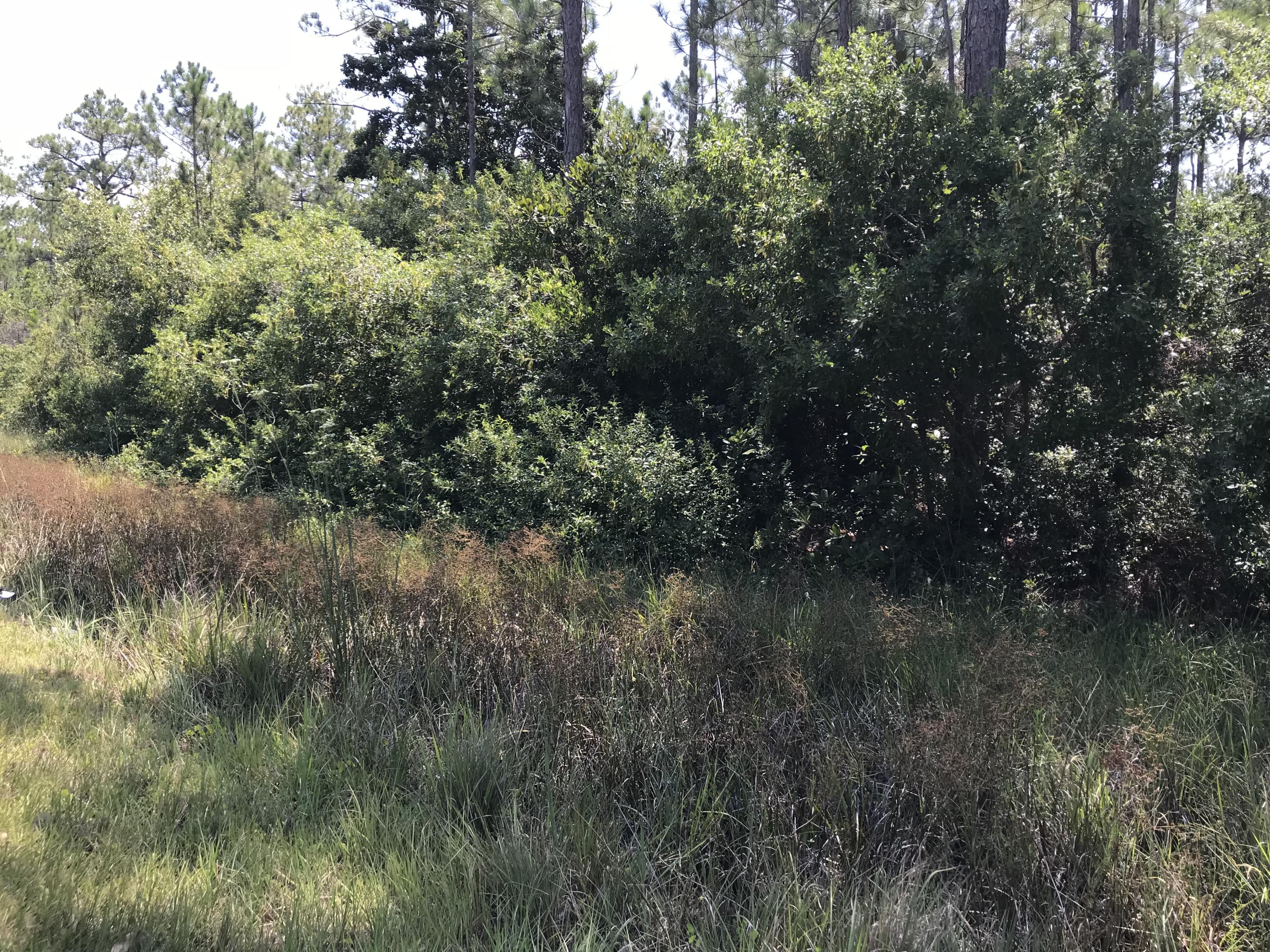 Lagniappe Beach/All - Land