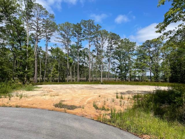 CROSS CREEK SHORES - Land