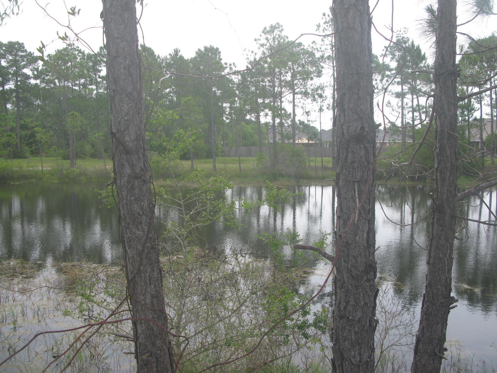 SMUGGLERS COVE - Land