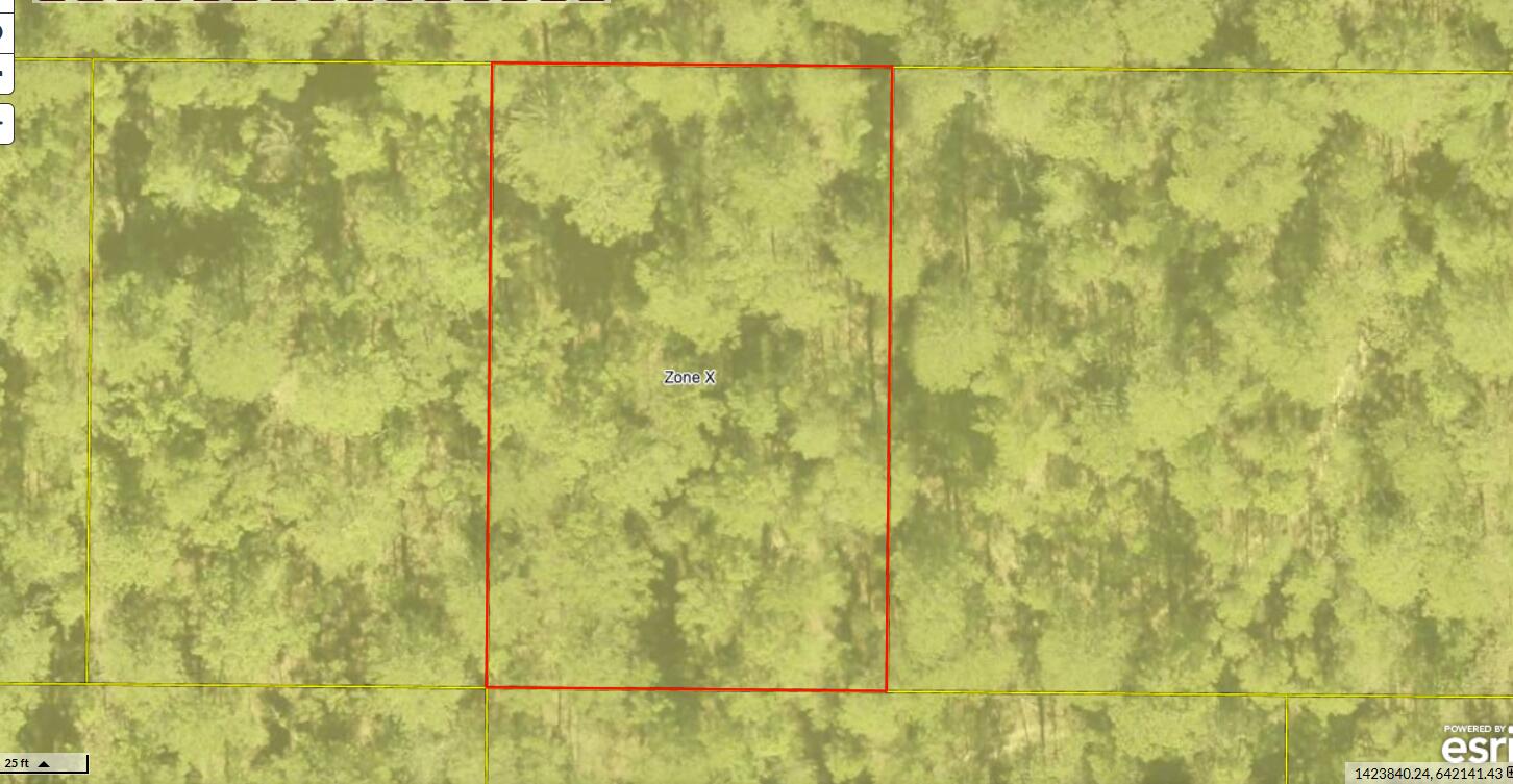 Wood lot in DeFuniak Springs FL and Mossyhead. No HOA. Minimal Restrictions. Modular homes allowed. There are no existing utilities. Well/Power/Septic required. Property is Flood Zone X. Per the Walton GIS mapping, the property does not appear to have wetlands. Easy access to the I-10 & CR 285 south making it a great location for work no matter what direction you need to go! You will be approx. 30-45 mins to most workplaces as as well as the beautiful white sandy beaches of Florida famous Emerald Gulf Coast and Crab Island. Buyer needs to verify building codes, zoning regulations, wetlands and flood zones, etc with proper local authorities to ensure buyer will be able to utilize the property for intended use. Information contained within this listing is deemed to be accurate but is not guaranteed.

Wood lot in DeFuniak Springs FL and Mossyhead. No HOA. Minimal Restrictions. Modular homes allowed. 

There are no existing utilities. Well/Power/Septic required. Property is Flood Zone X. Per the Walton GIS mapping, the property does not appear to have wetlands. 
