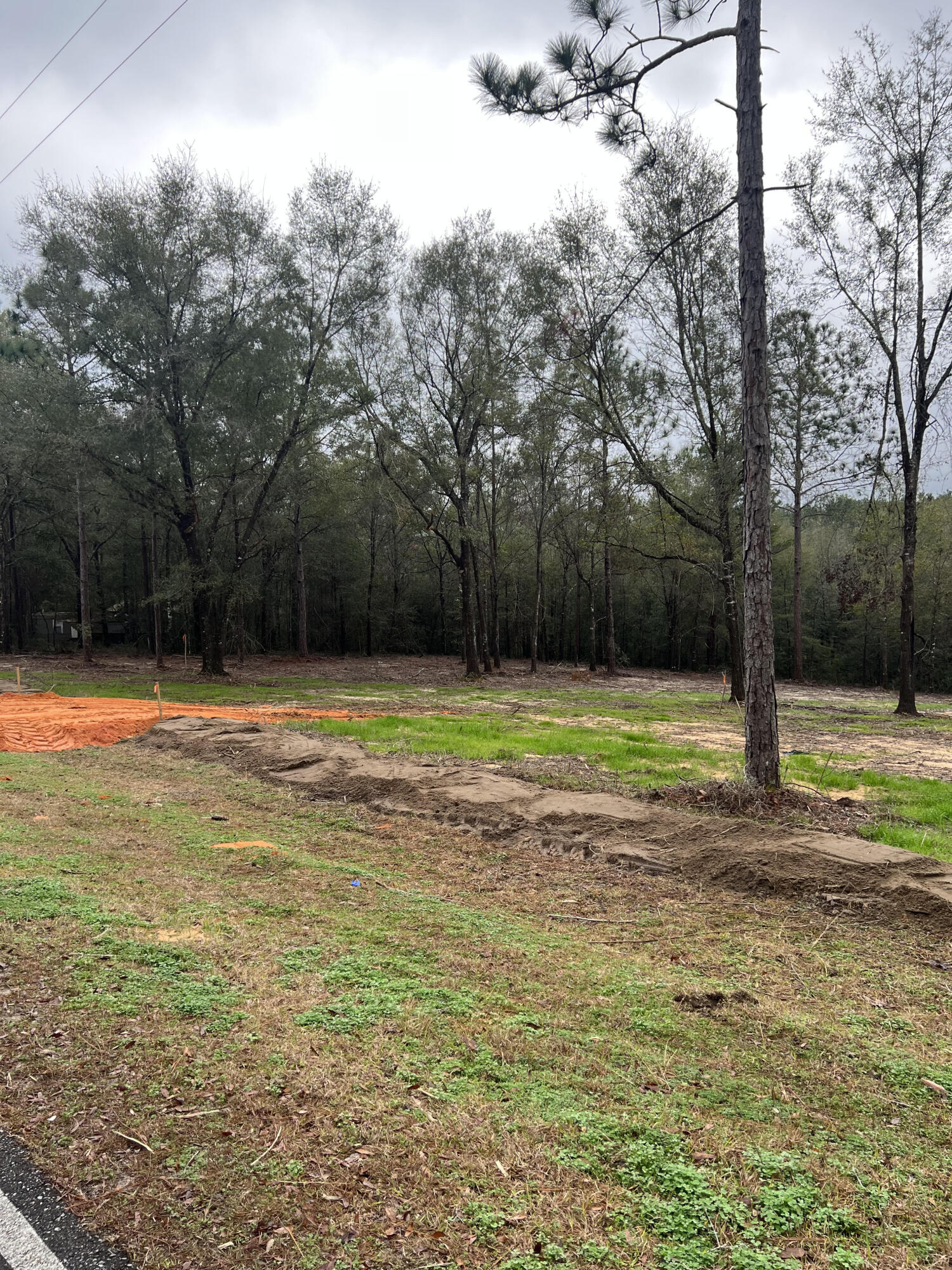 Elmwood Plantation - Land