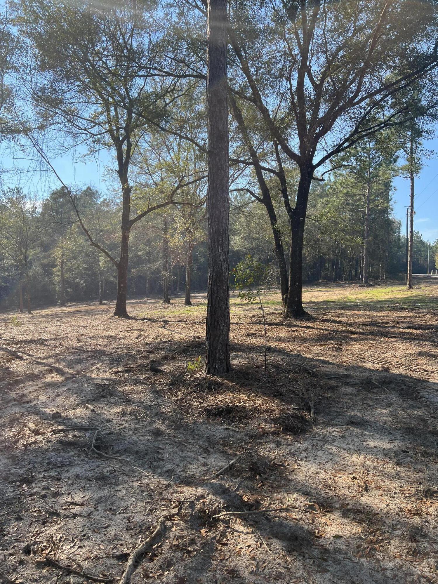 Elmwood Plantation - Land