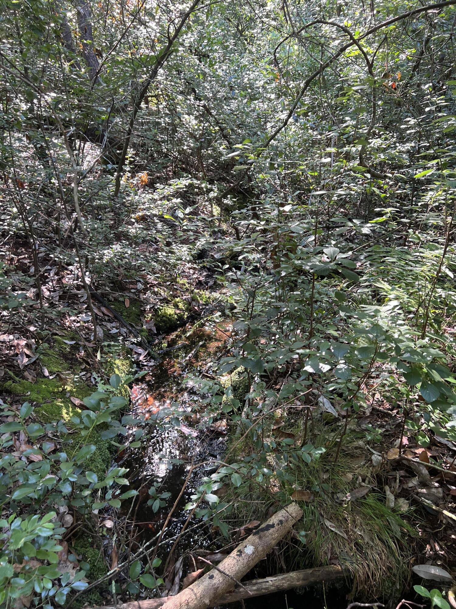 Elmwood Plantation - Land