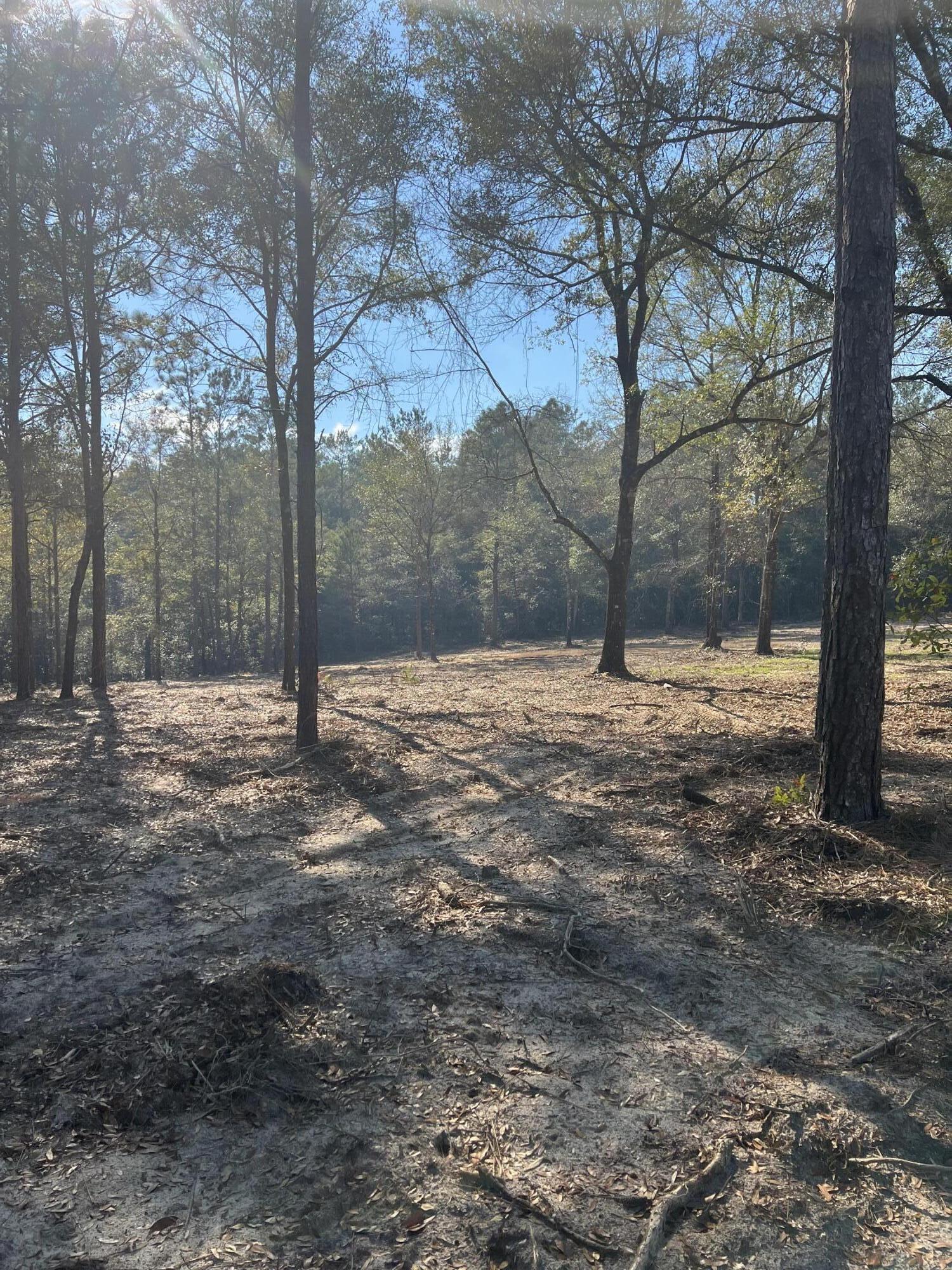 Elmwood Plantation - Land