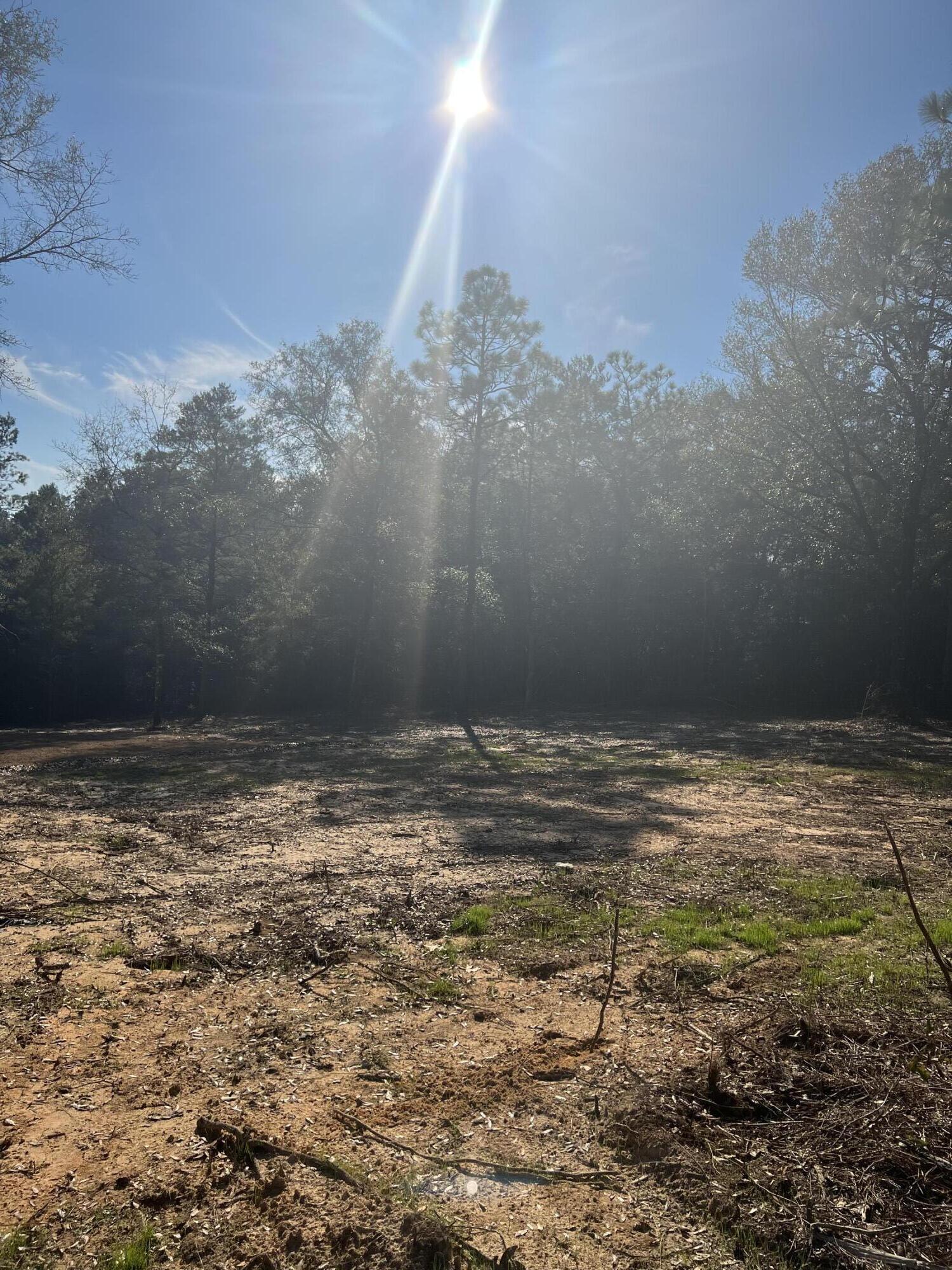 Elmwood Plantation - Land