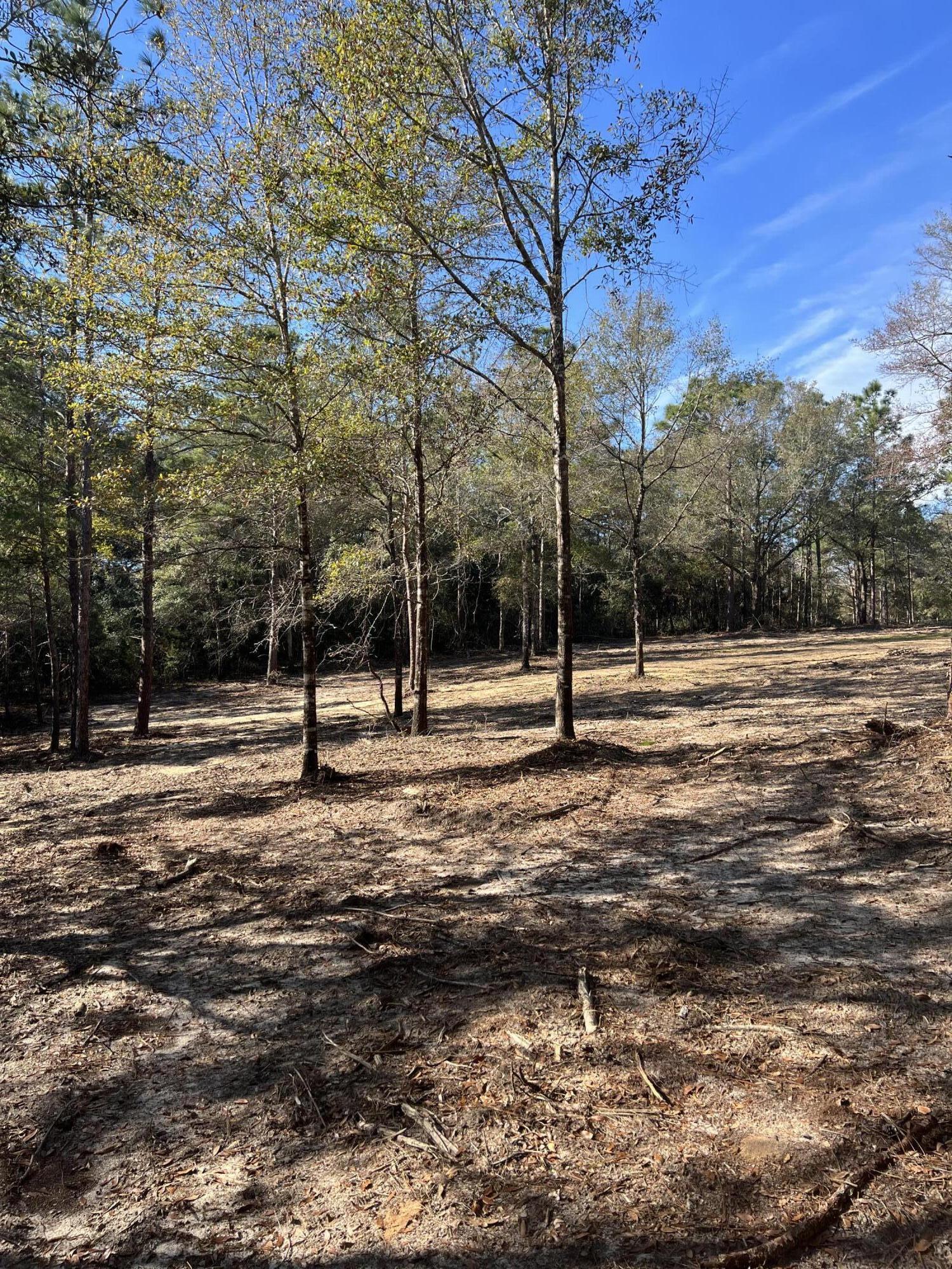 Elmwood Plantation - Land