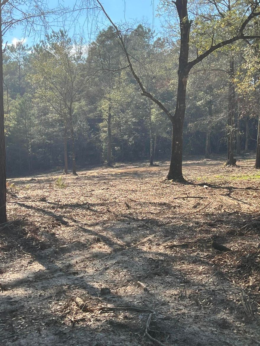Check out this recently cleared 5.4 Acre lot. This amazing lot has a small creek that runs through the middle of the lot. One side has been cleared and ready to build a cabin, raise some cows or enjoy the quiet countryside.  The other side is wooded with many deer trails to explore. Owner put in a small driveway and planted some Crepe Myrtles.