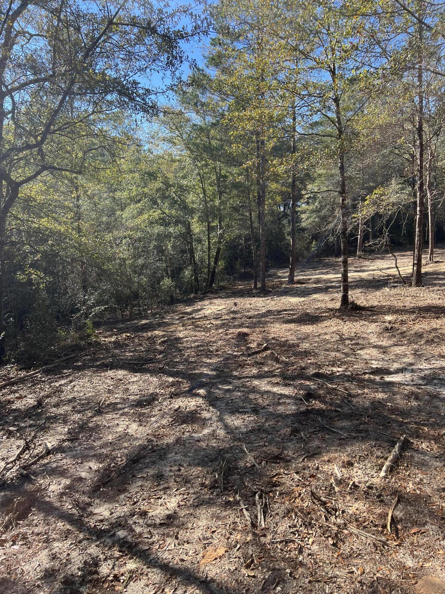 Elmwood Plantation - Land