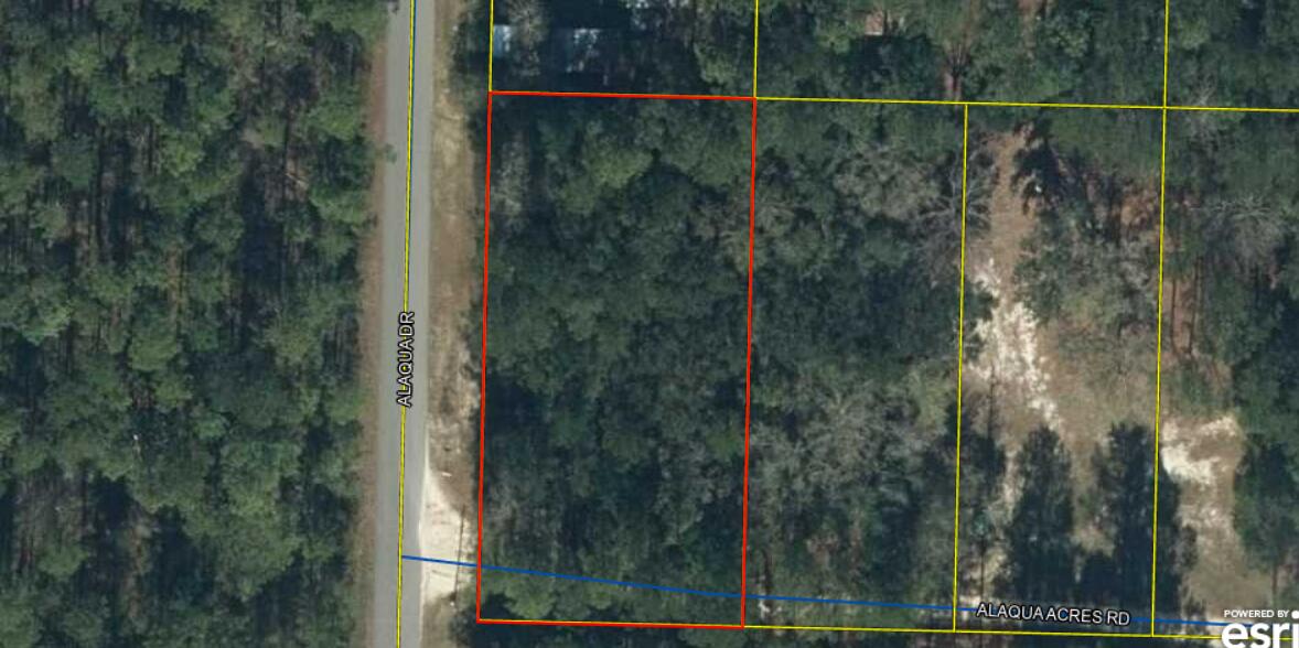 Looking to build in one of Florida's fastest growing communities, Freeport. This is a great opportunity with a large lot to be able to live in Freeport. The corner lot is is approximately 100 X 200 and in Flood Zone X. Buyer to verify all important details and dimensions.