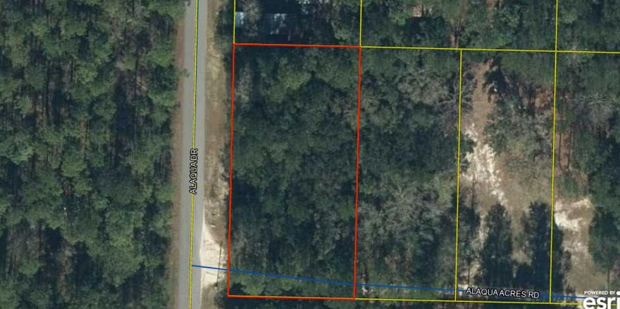Looking to build in one of Florida's fastest growing communities, Freeport.  This is a great opportunity with a large lot to be able to live in Freeport.   The corner lot is is approximately 100 X 200 and in Flood Zone X.   Buyer to verify all important details and dimensions.