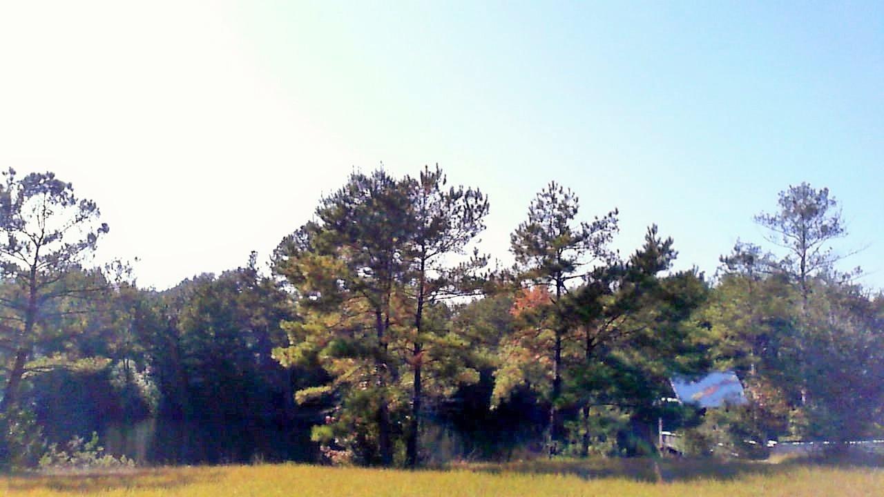 LaGrange Landing - Residential