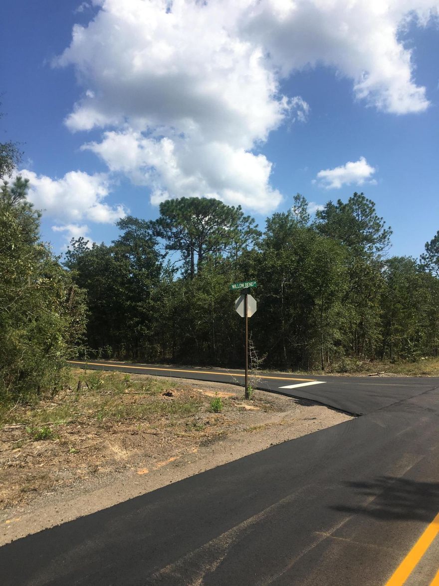 Excellent lot! This lot is just a couple of miles out of town and the roads have just been paved! Trees have been left on this lot so you can purchase and selectively clear. No HOA! Mobile homes are allowed here! Water and electricity are in front of this lot. Call today!