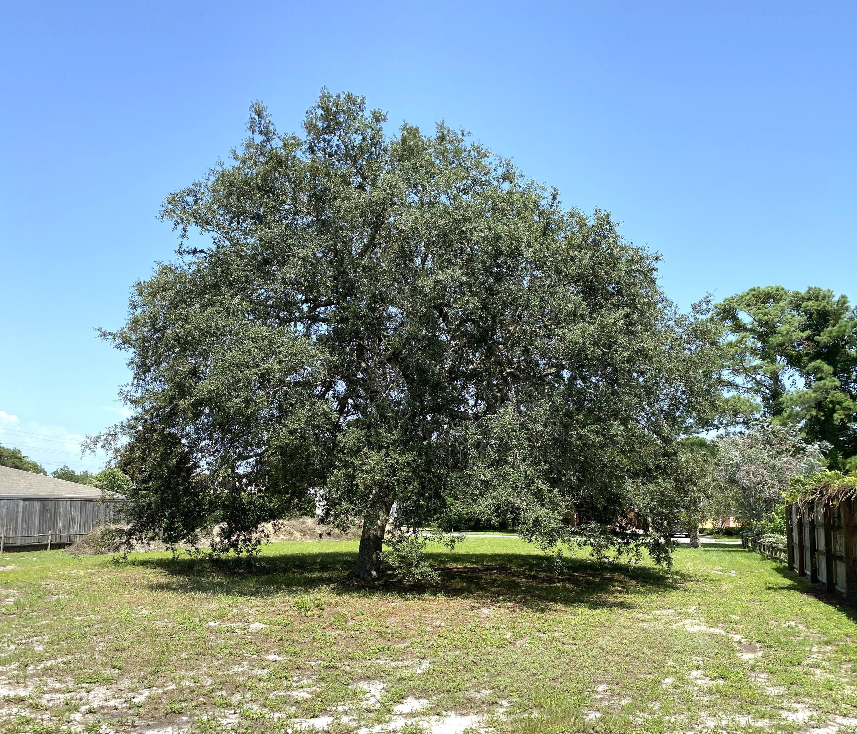 SANDESTIN ESTATES - Land