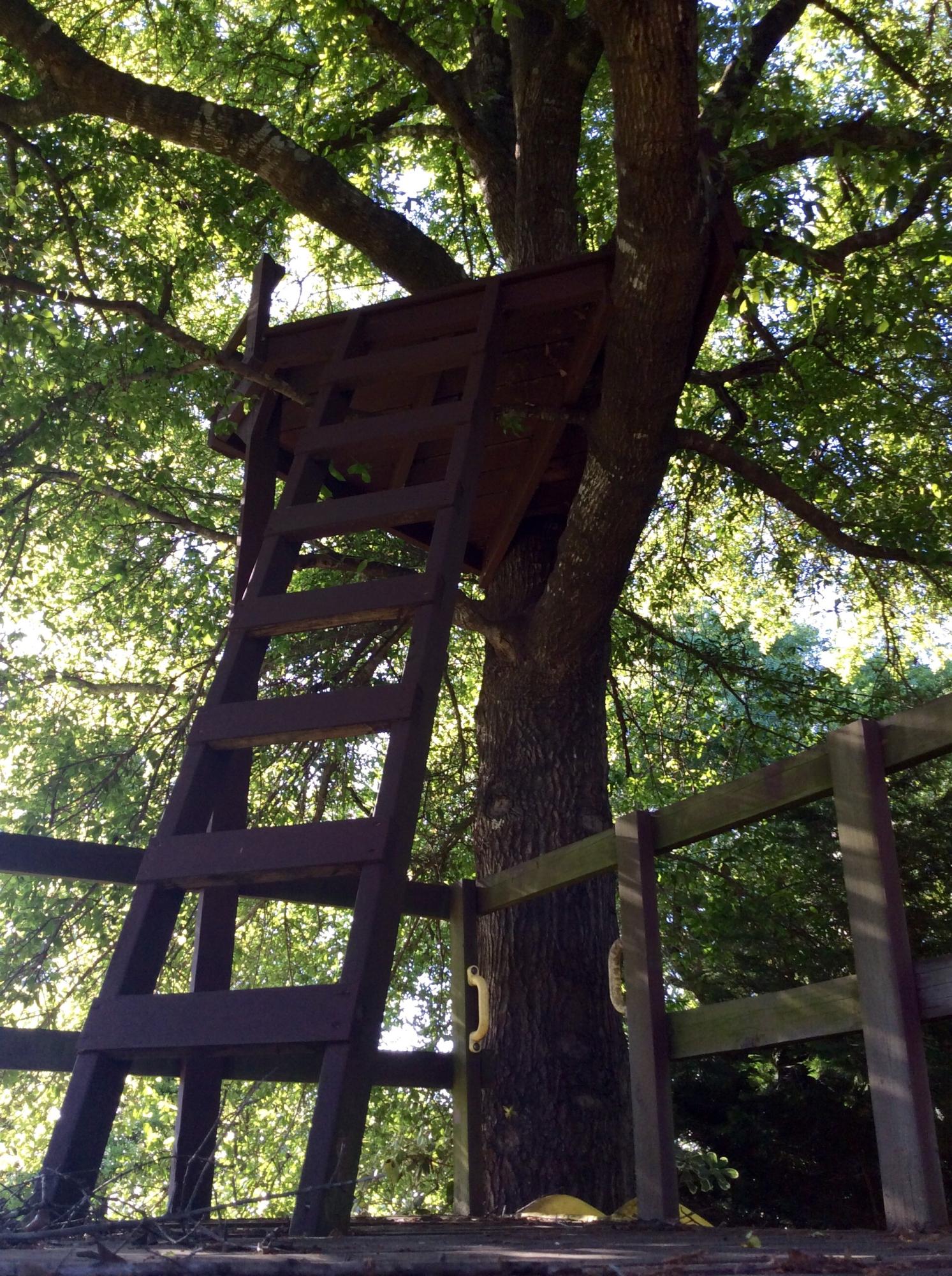 INDIAN TRAILS PH 3 - Residential