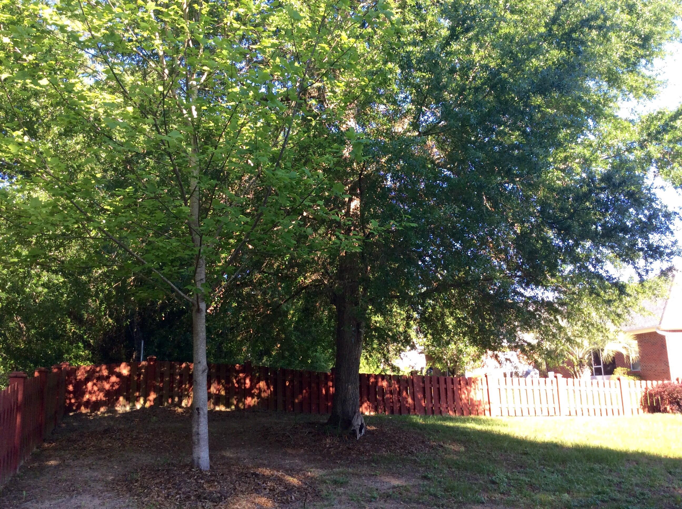 INDIAN TRAILS PH 3 - Residential