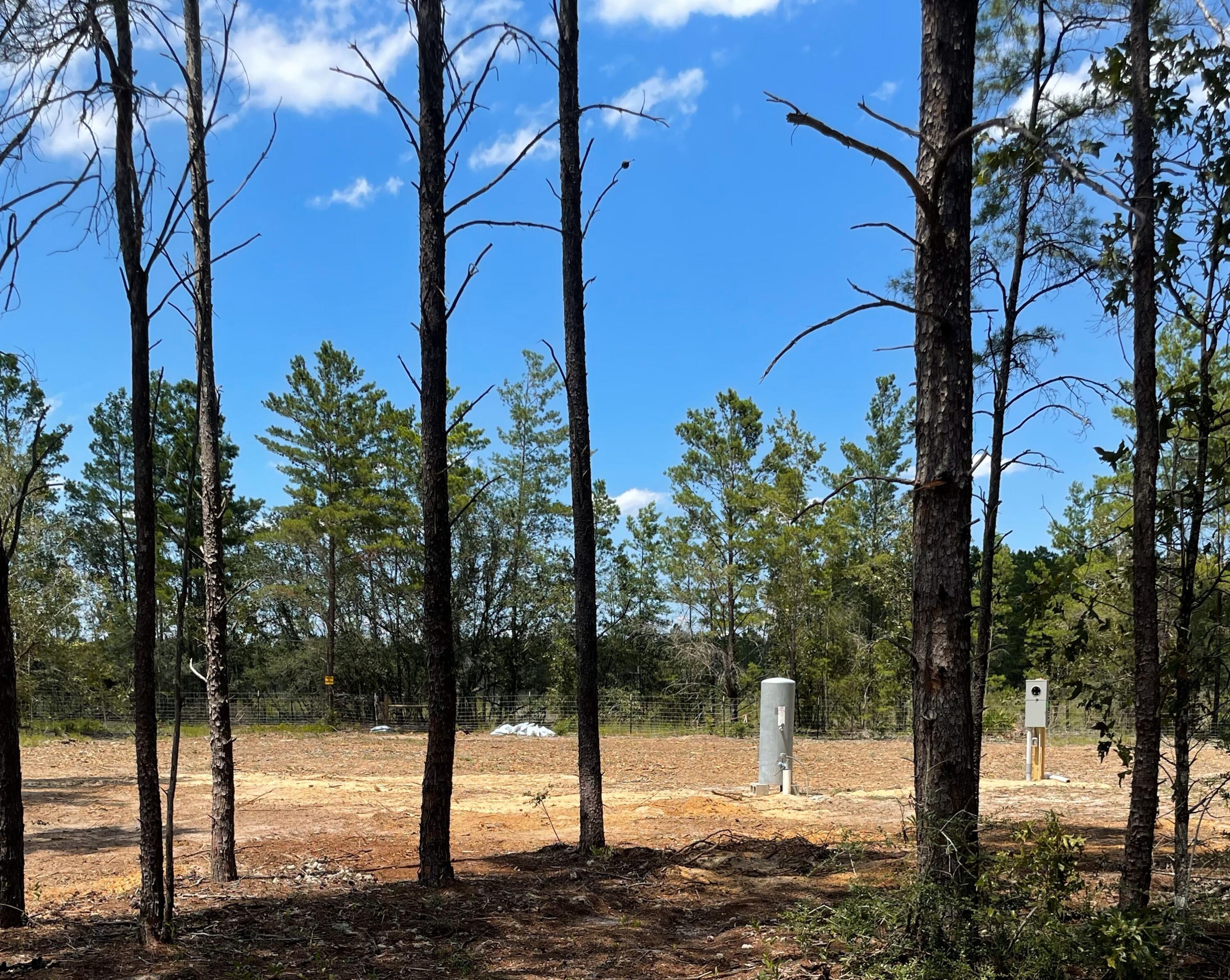 Lots 40 and 41 are being offered for sale together as one needs a half acre to install septic and well. The MLS # for Lot 41 is 930263. Ready to get off beaten path? The lots are located off Hwy 81N in the old Red Bay Golf Club S/D. The lots have been cleared and improved and are ready to build on! Lot 40 has a water well drilled, and a Chelco temporary power pole and meter. A septic tank consultant has completed an inspection and determination that the lot cold have an in ground septic tank. Call Rusty Barlow at 850-842-0902 for directions and information.