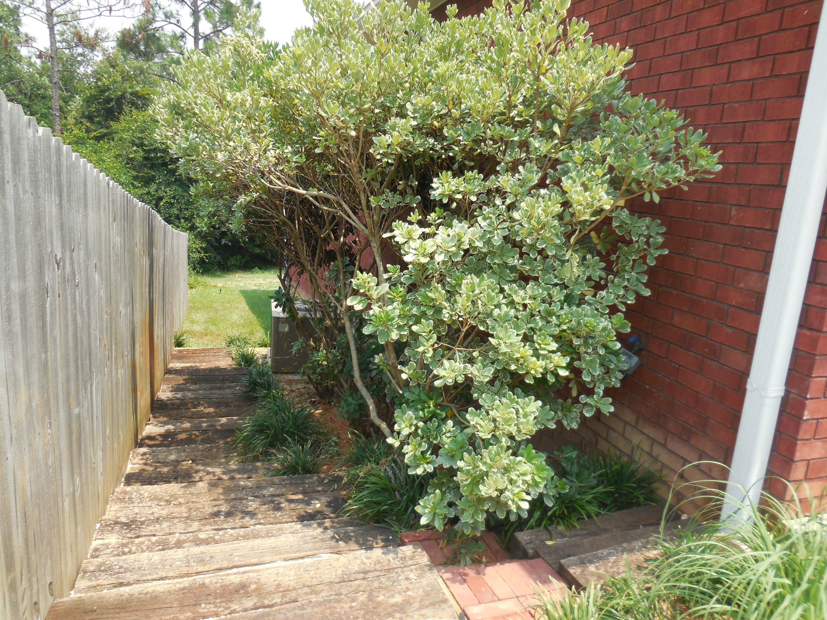 SPRING HOLLOW ESTATES - Residential